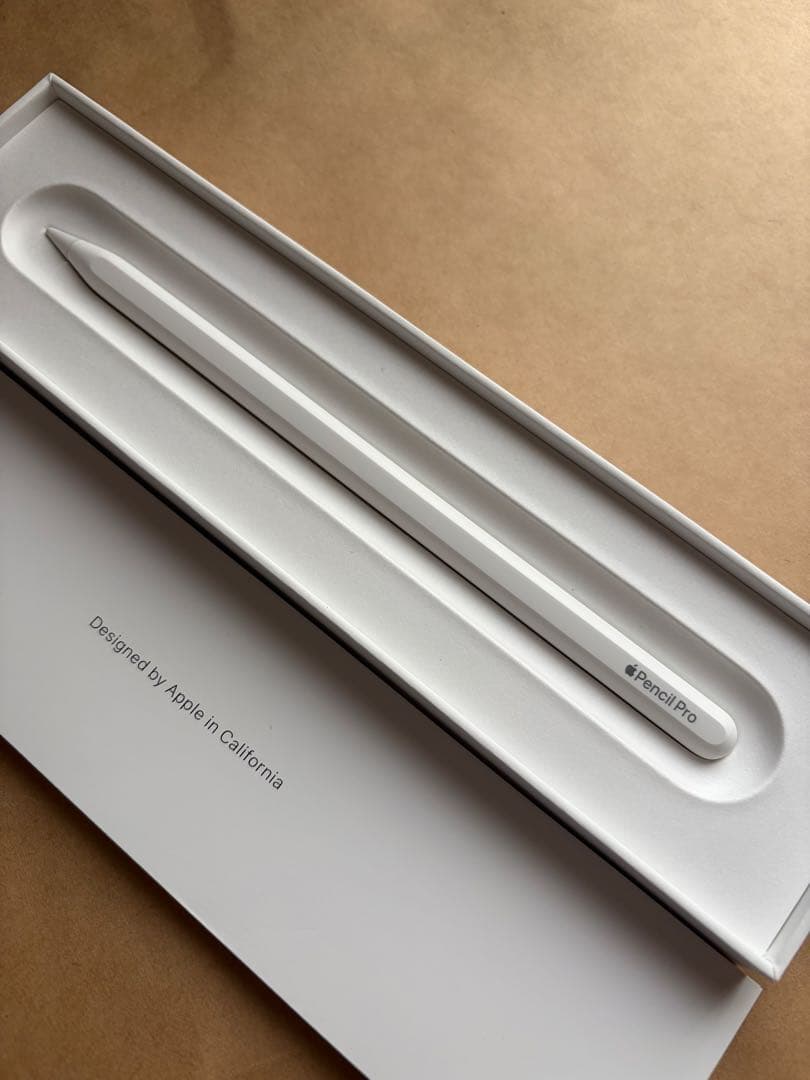 Apple Pencil Pro ほぼ未使用 動作確認のみ