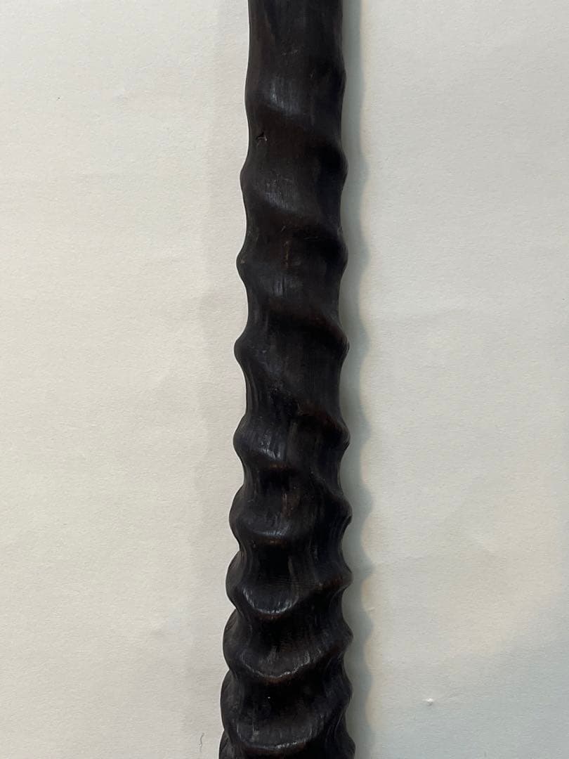 希少② オリックスホーン　鹿の角　検索）一角獣　オウムガイ