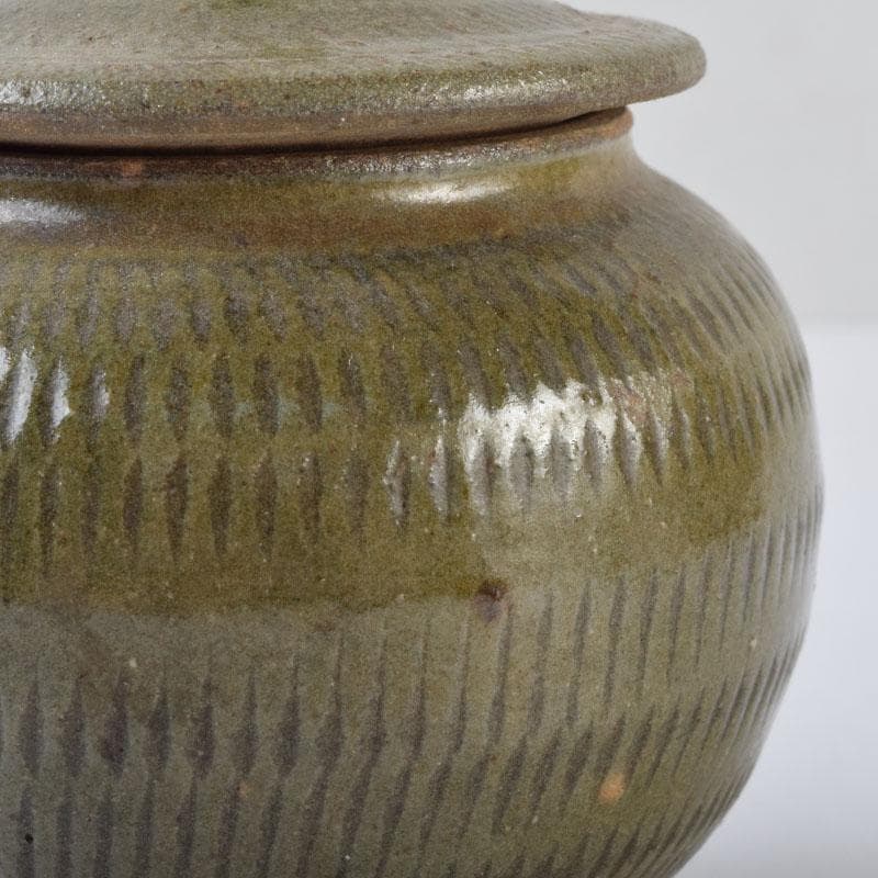 タイ古陶磁　スンコロク　宋胡録　青磁　蓋壷　C　9088