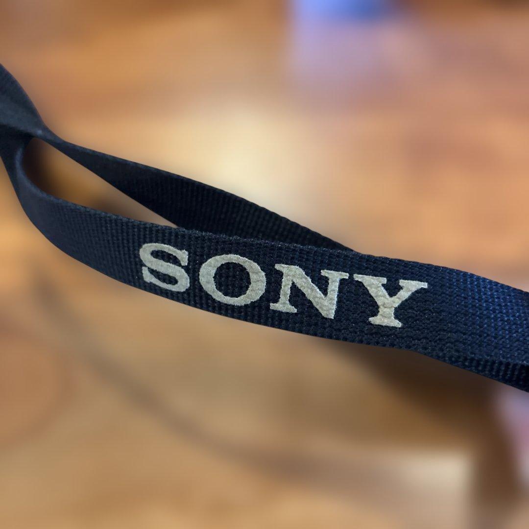 SONY ソニー α5100 ミラーレス一眼