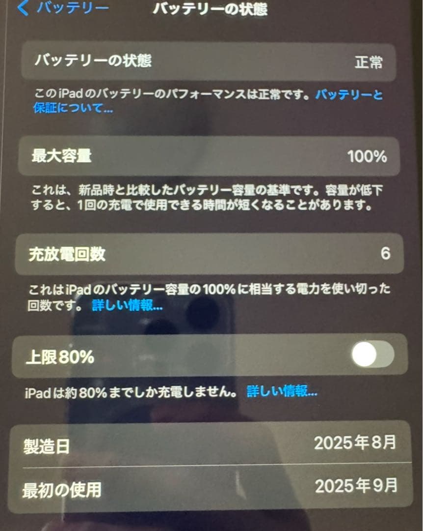 Apple iPad シルバー 本体 充電器付き