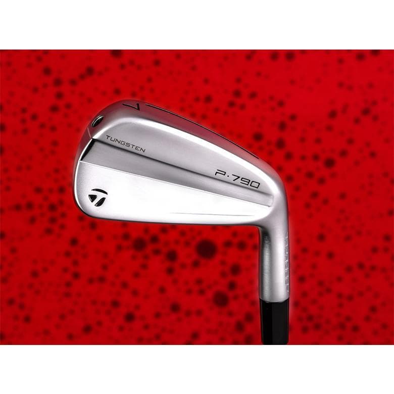 テーラメイドP790 （23）5本セット　 Dynamic Gold EX