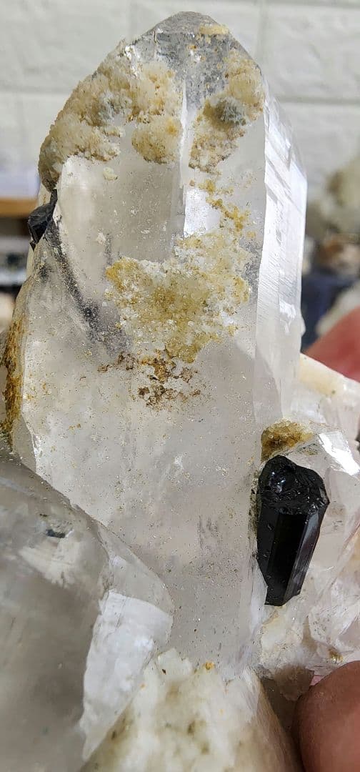 アクアマリン入りクォーツ上のブラックトルマリン