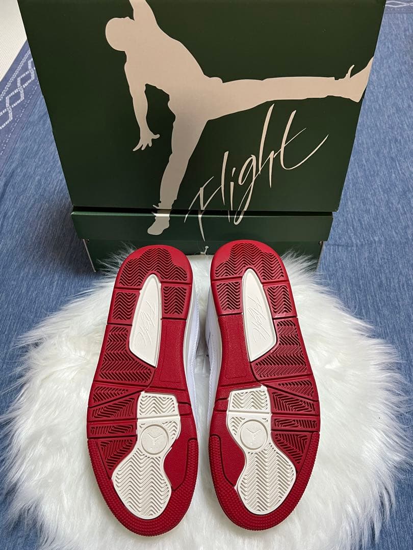 JORDAN FLIGHT COURTジョーダン・フライトコート 27㎝