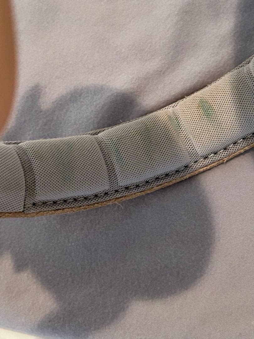 Bang&Olfsen Beoplay H9i (RIIZE アントン愛用)