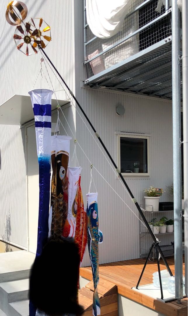プロフ必読　徳永2Mこいのぼり鯉のぼりプレミアムベランダスタンドセット