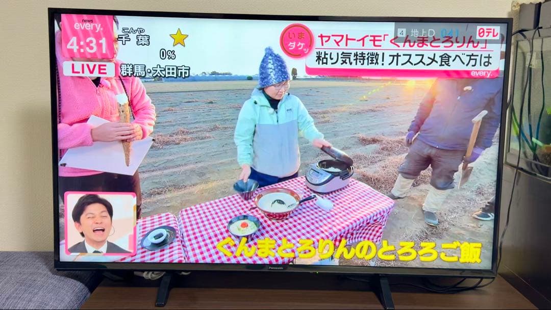 パナソニック49V型 液晶テレビ ビエラ TH-49FX600 4K