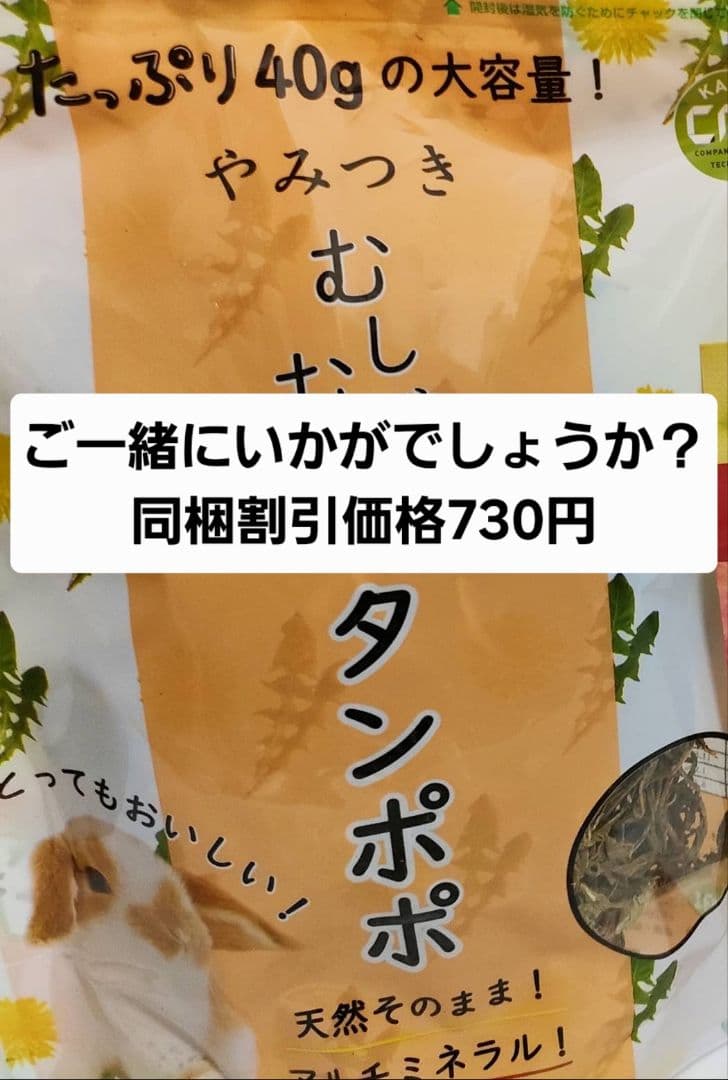 【まとめ買い大特価】モルモットセレクションプロ600g ×10袋セット