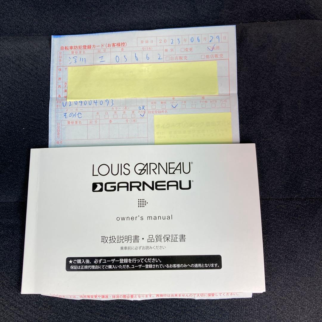 ルイガノ ジュニア用 24インチ アルミフレーム （引き取り限定）