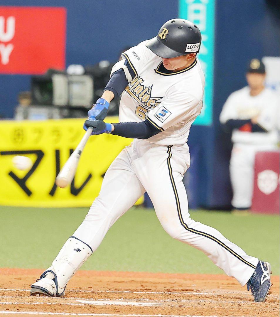 オリックス・バファローズ　茶野篤政 #61　バット NPBマーク 支給品　実使用