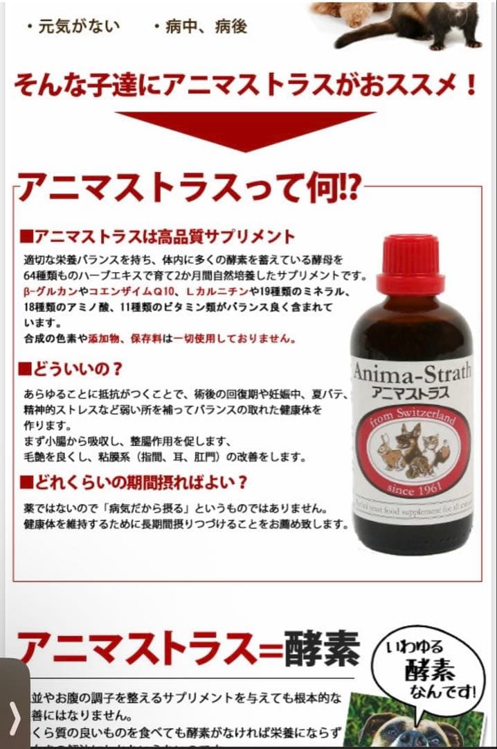 新品未開封 アニマストラス　リキッドタイプ 250ml 2箱セット