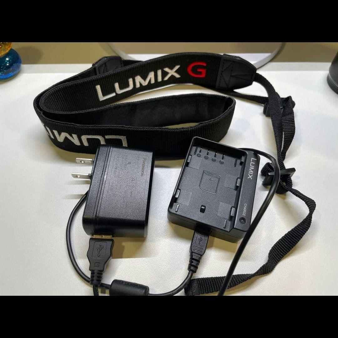 キ*ん様 【美品】LUMIX G9 Pro ボディ