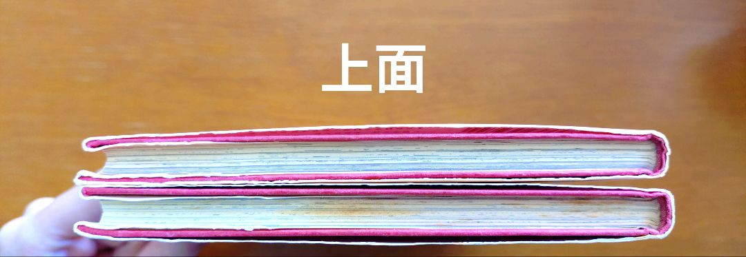 ​【りっち】だいすき♥たまごっち 1巻・2巻 セット 希少