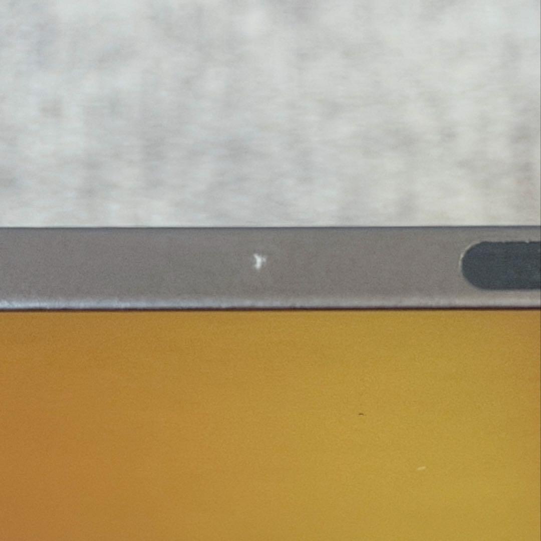 iPad本体 Apple iPad Pro 11-inch (2nd Gen) Wi-Fi