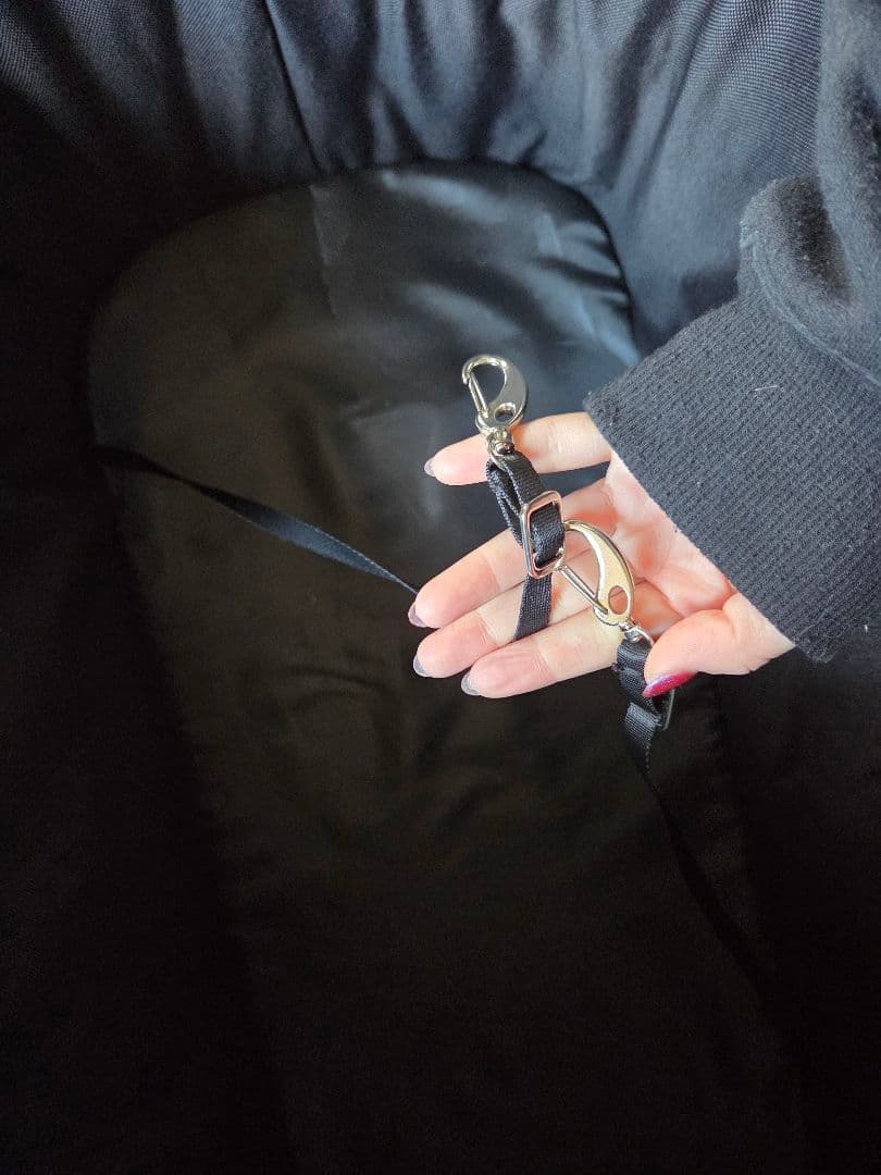 【お値下げ中！】ピッコロカーネ　タントプラス　ペットカート　バギー