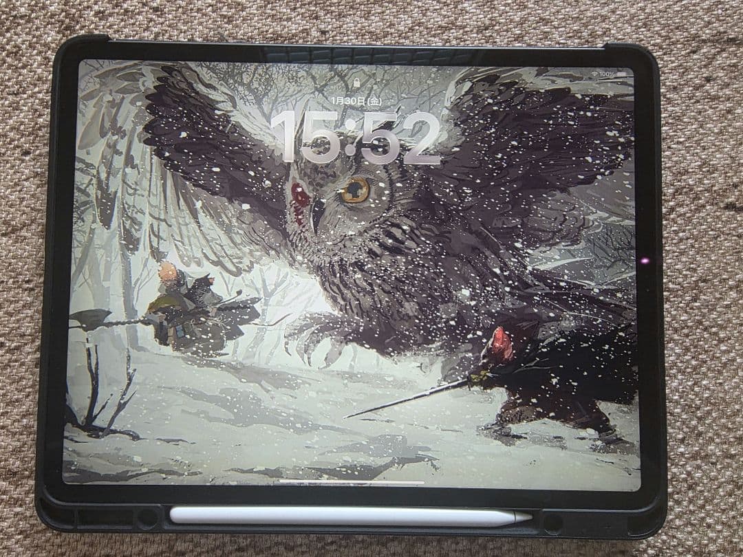 Apple iPad Pro12.9 512G 本体+Apple pencil