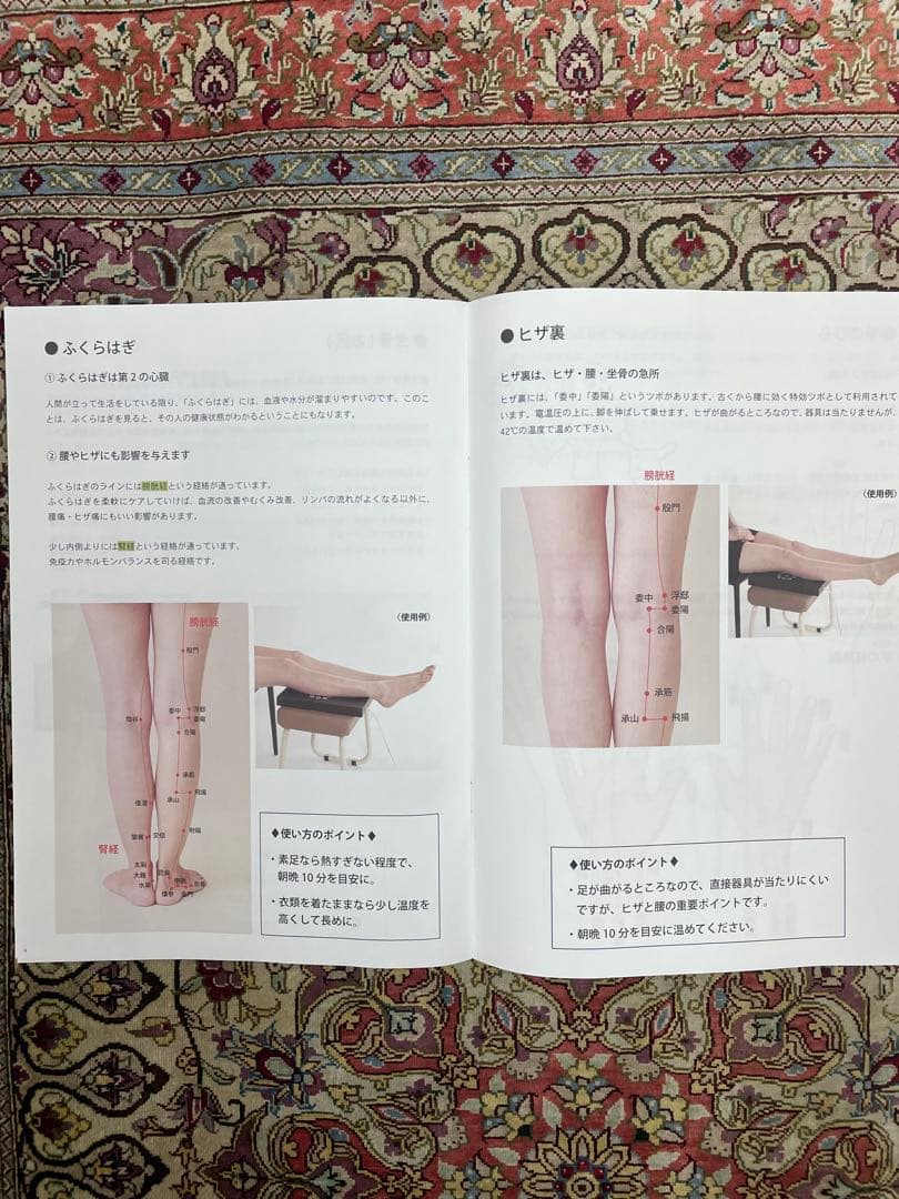 DEN ON ATSU 温熱プレート 42℃ ヘルスサイエンス　電温圧