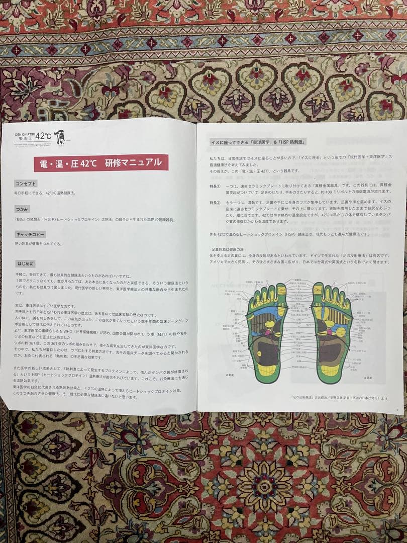 DEN ON ATSU 温熱プレート 42℃ ヘルスサイエンス　電温圧