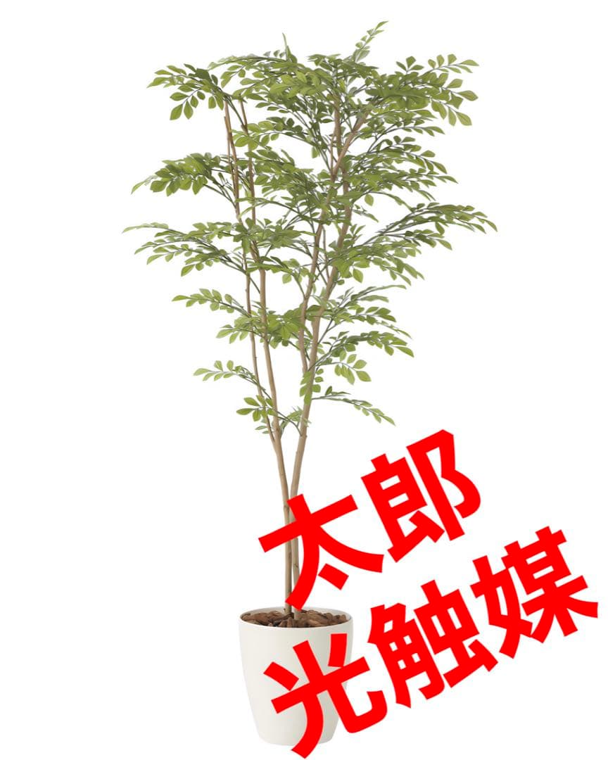 光触媒　人工観葉植物　ウォールグリーン　フェイクグリーン　ライトトネリコ1.6m