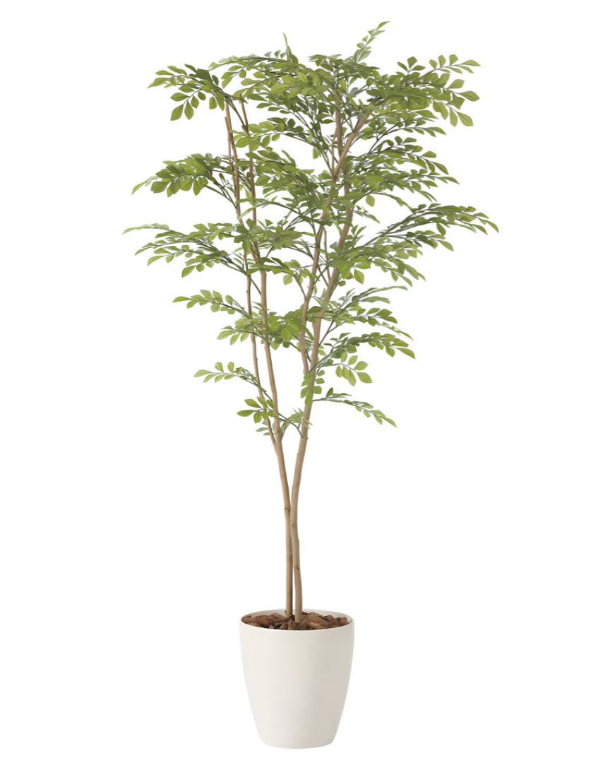 光触媒　人工観葉植物　ウォールグリーン　フェイクグリーン　ライトトネリコ1.6m