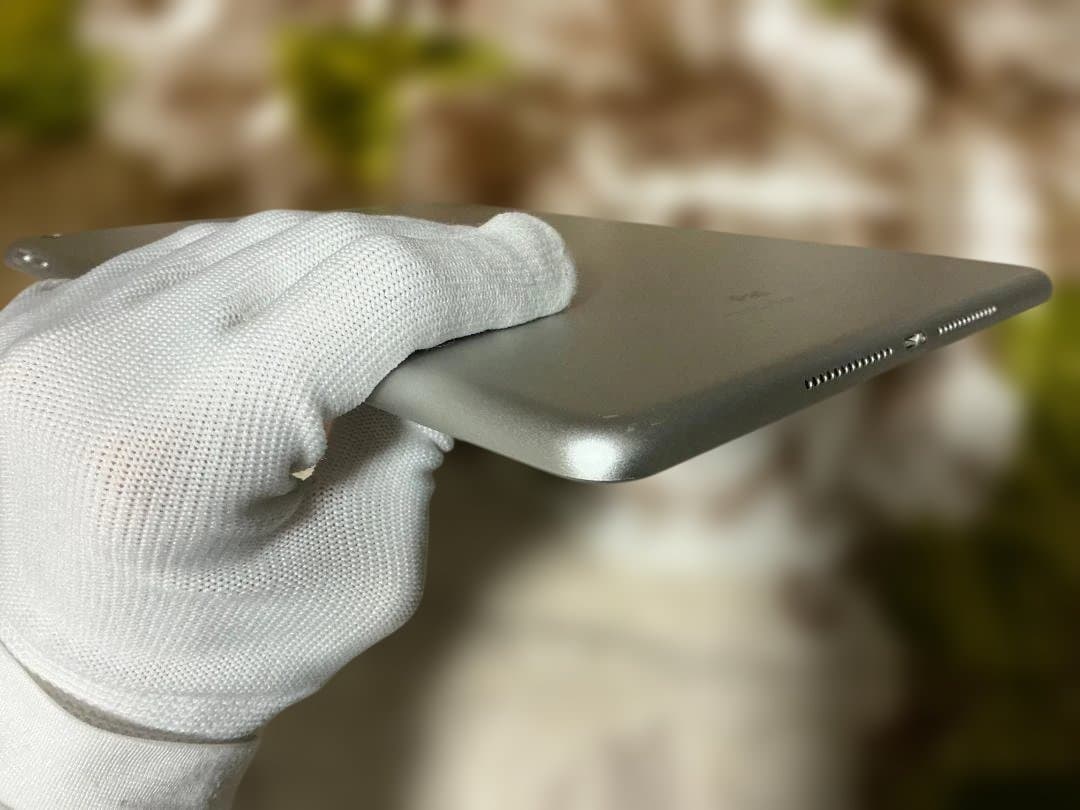 Apple ipad （第6世代）