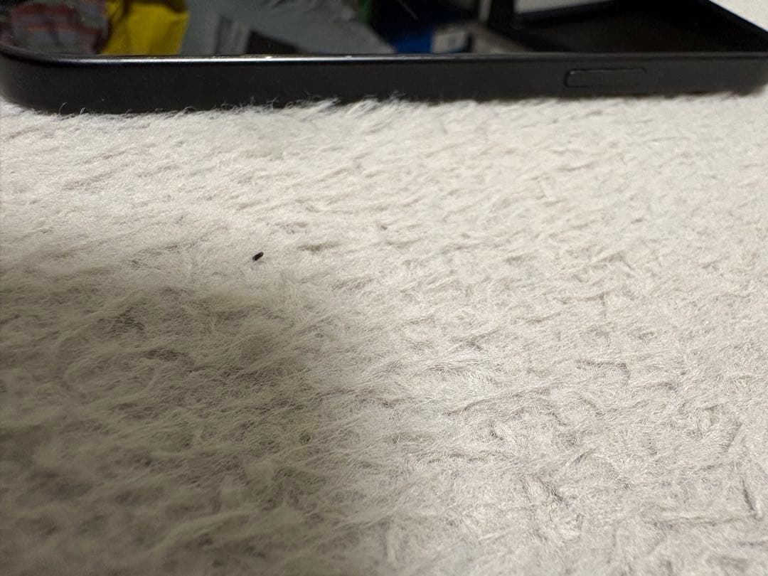 Apple iPhone 15 ブラック 256GB 本体