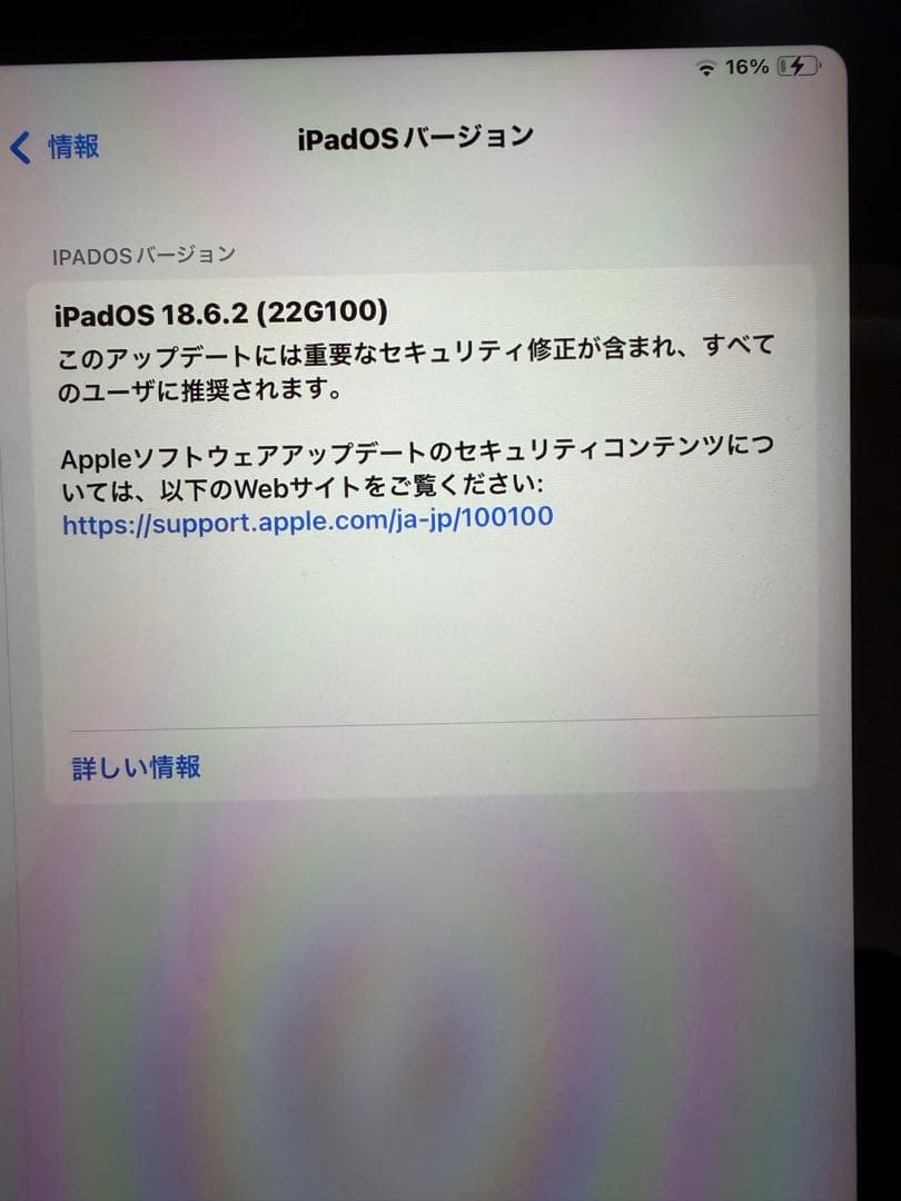 iPad Pro 11インチ (第2世代) 256GB セルラー　ケース付き