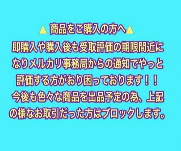 江口寿史・ストップひばりくん‼️【A4 サイズ写真ポスター額装付き３点セット】
