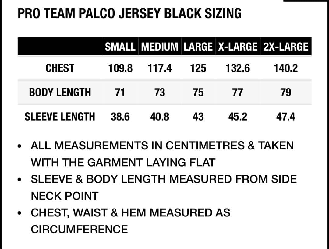 ウェア PALACE PRO TEAM PALCO JERSEY BLACK