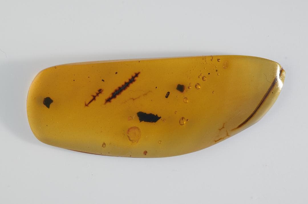 レア極上品 PA0049虫入り琥珀化石　ミャンマーカムティかタナイ9900万年前