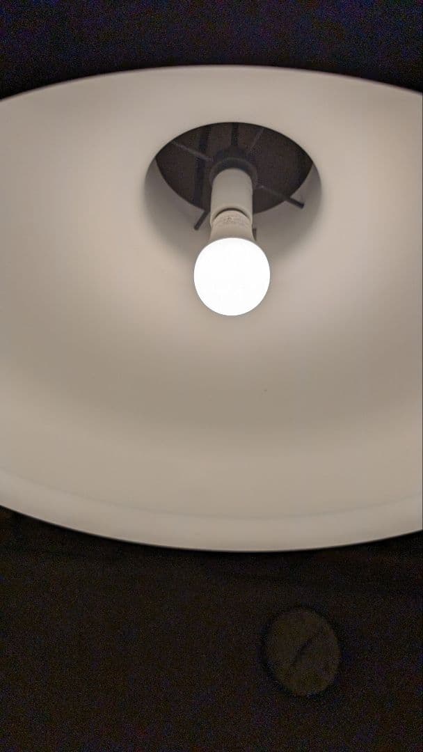  SC8 アンドトラディション 定価約20万