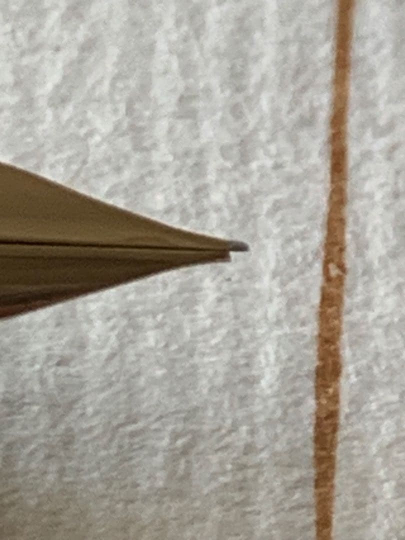 パイロット grandee グランディ 万年筆（ジャンク扱い）