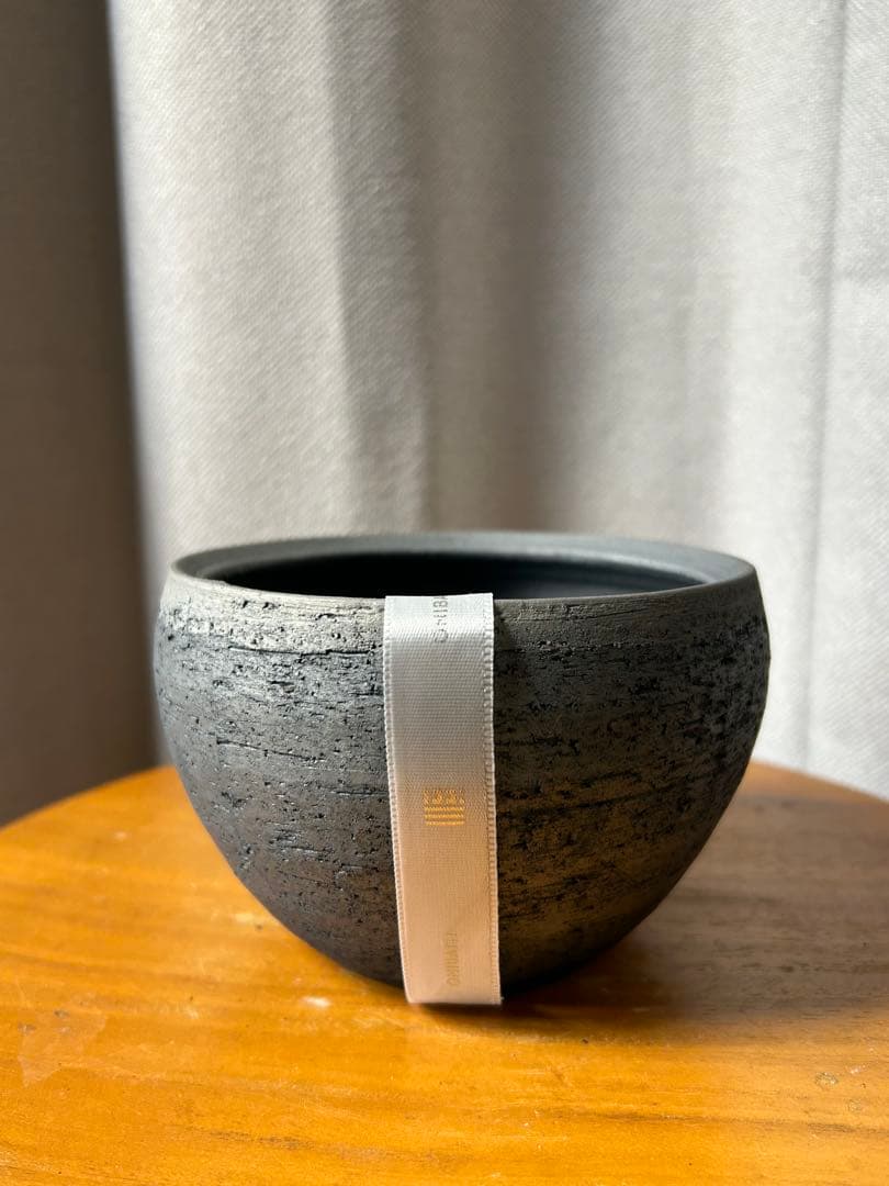 限定モデル三州みやび鉢 ピグマエア パキプスInvisible 鶴仙園KOMO