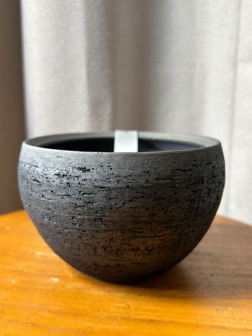 限定モデル三州みやび鉢 ピグマエア パキプスInvisible 鶴仙園KOMO