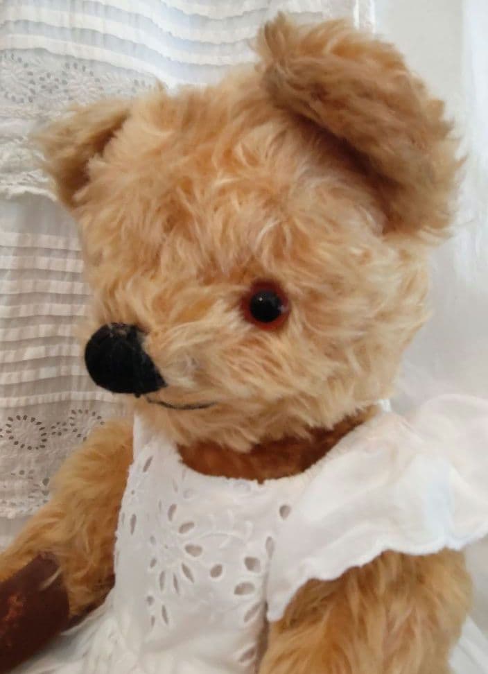 チャドバレーベア 47cm