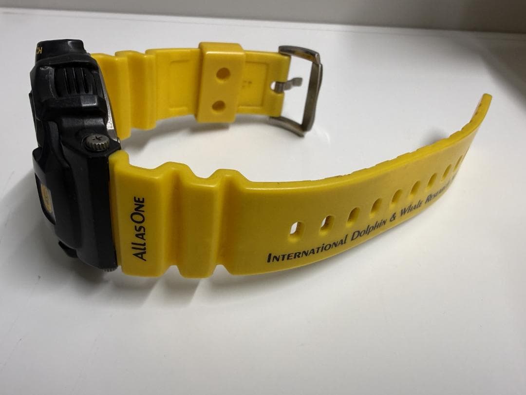 G-SHOCK DW-9701K イルクジ 　イエロー／ブラック