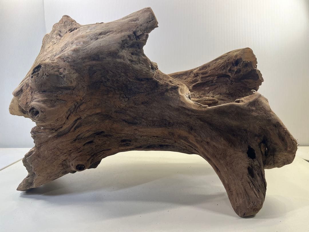 R72特大流木アク抜き済み流木 爬虫類シェルター 登り木 インテリア 生け花