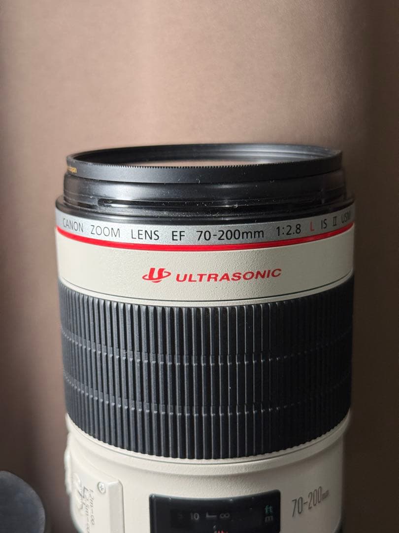 キャノン EF 70-200mm f2.8 ii IS USM