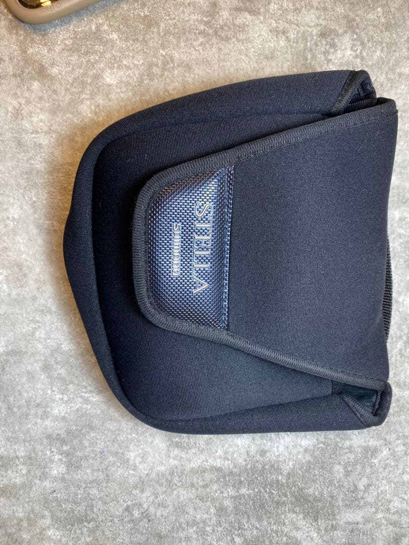 リール 19 STELLA SW8000PG