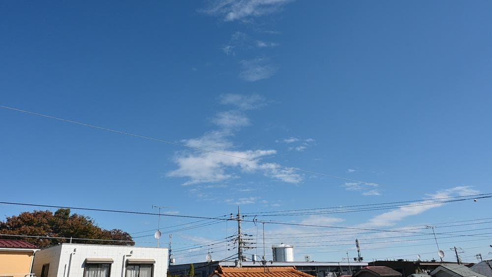 さ*だ様 Nikon ニコン Z50 16-50 VR レンズキット ミラーレス