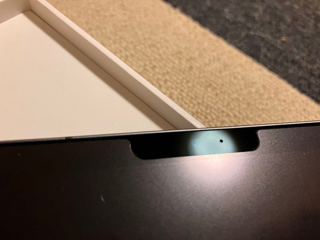 iPad pro 12.9(第4世代) 256GB Cellularモデル