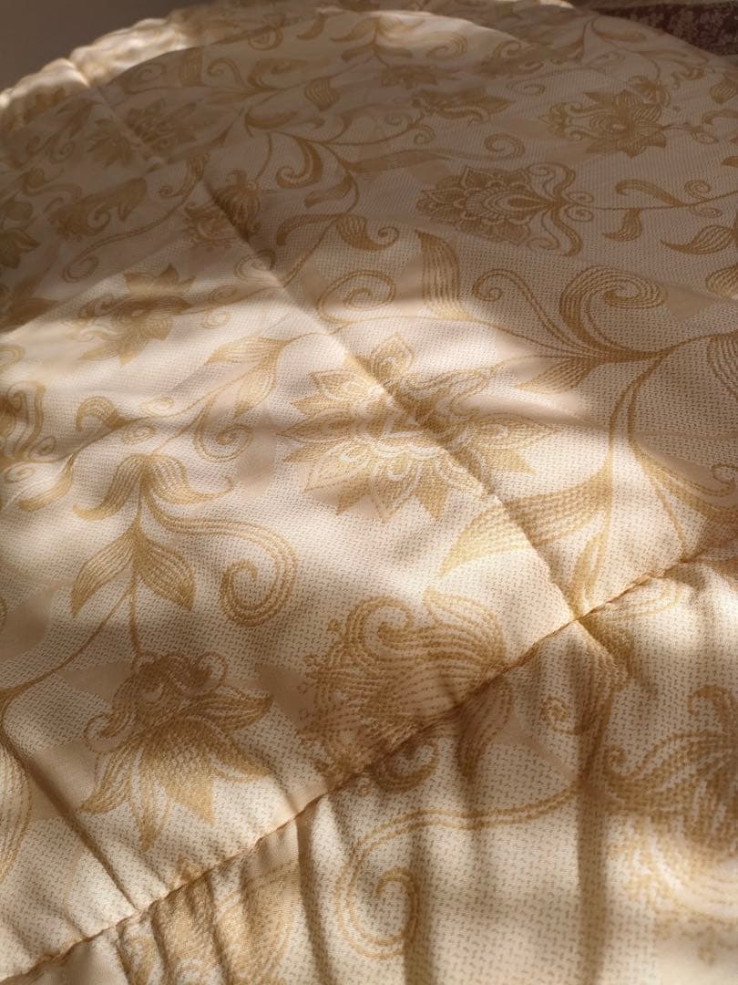 タカコ　　シングル1.7kg 2枚