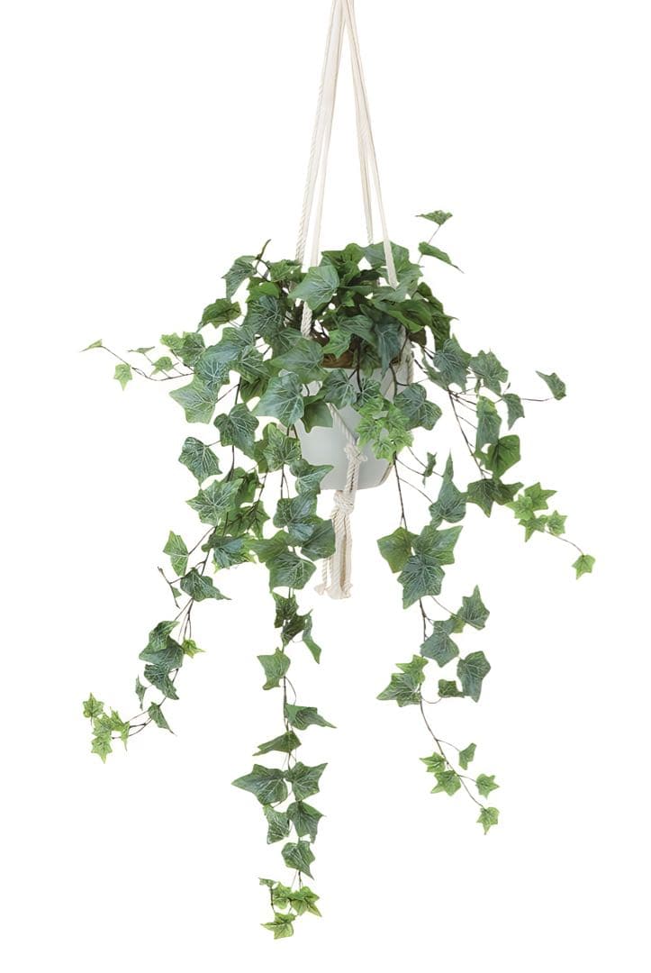 光触媒　人工観葉植物　フェイクグリーン　壁掛けフロストアイビーハンギング4035