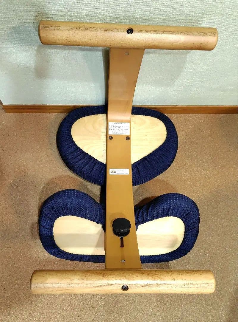 Rybo リボ　バランスチェアイージー　姿勢矯正　 デスクチェア　カバー付き