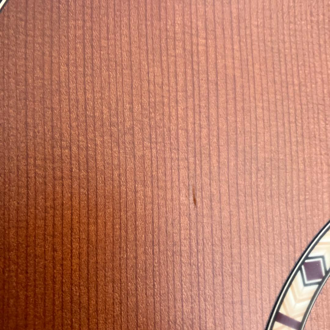 【あお】Art&Lutherie⭐️エレアコ⭐️アート&ルシアー