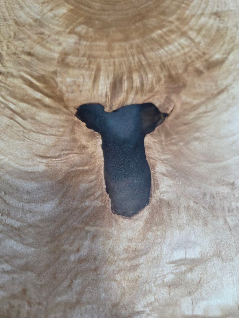 【極上杢】カエデ メープル 一枚板 縮杢 黒レジン埋め 112cm　楓