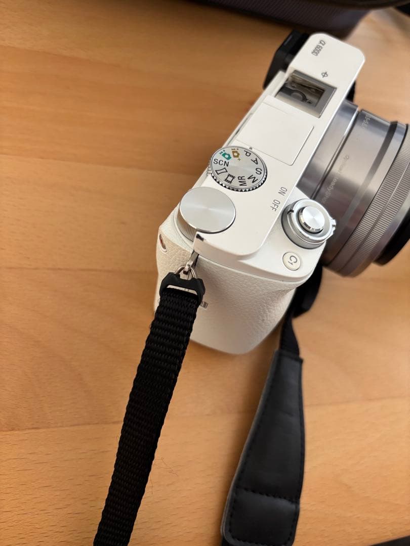 トコぺデイア　 SONY α6000 ダブルズームレンズキット