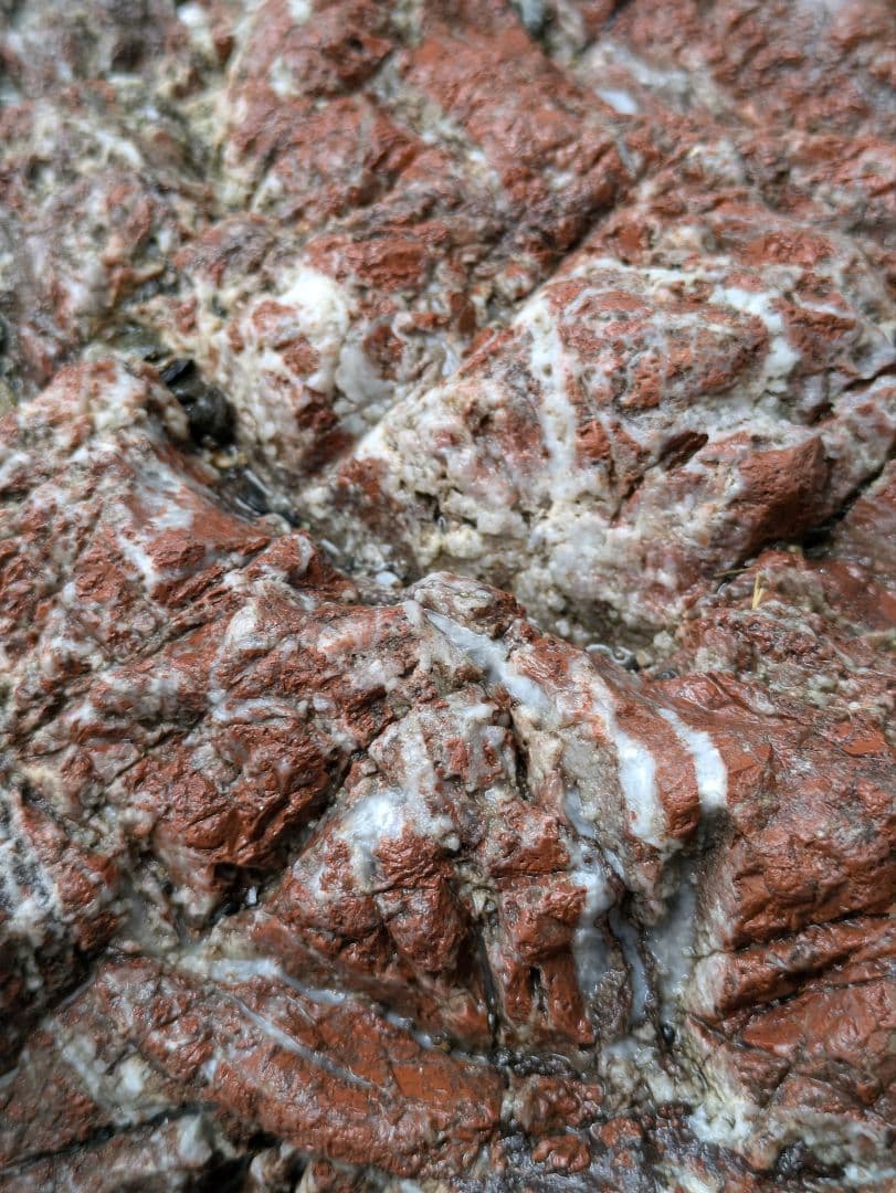 赤石 原石 特大29kg 龍顔 未加工品 多数の石英流れ 希少、レア品