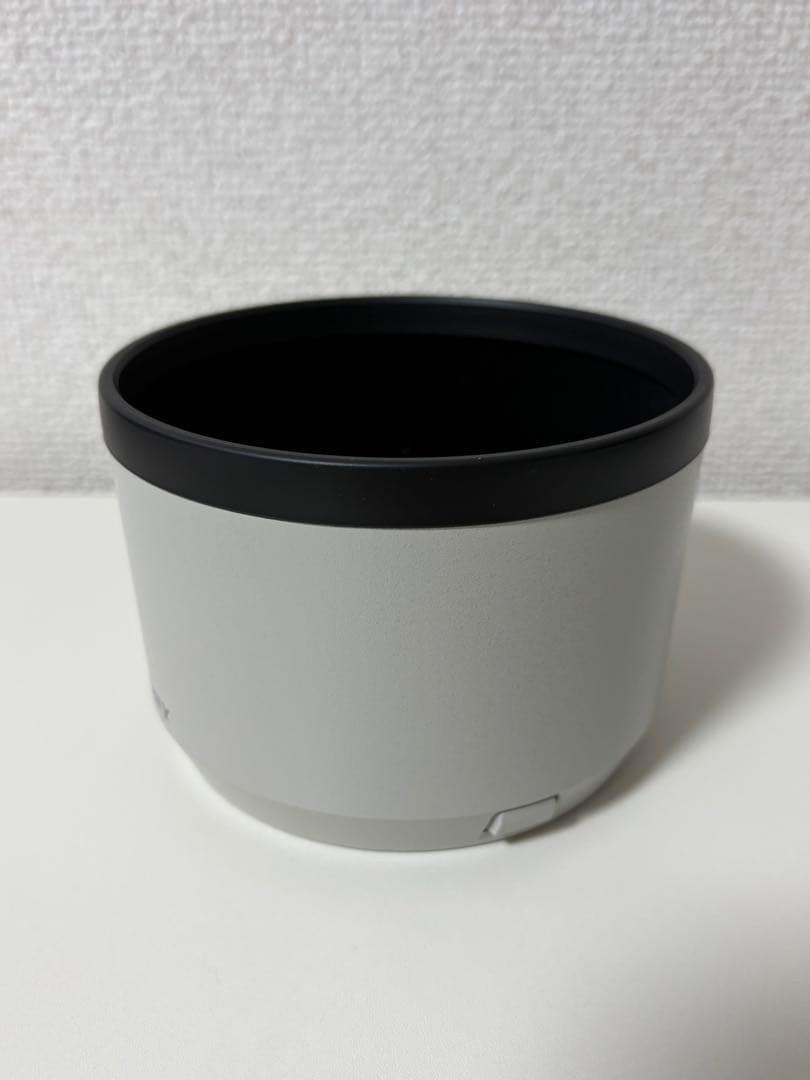 Sony FE 70-200mm F2.8 GM OSS II +おまけ