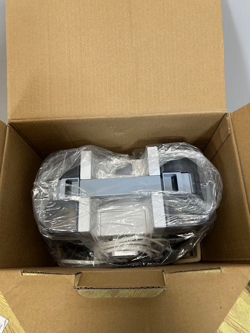 【美品】アイリスオーヤマ リンサークリーナー RNS-P10-W ／一度使用のみ